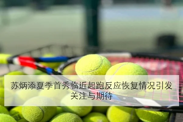 苏炳添夏季首秀临近起跑反应恢复情况引发关注与期待